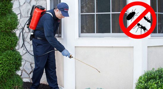 Altıevler Hamam Böceği İlaçlama böcek ilaçlama ve haşere kontrolü — ilaclama-tr.com